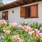 Cozy House Casa Vero Mai Icod De Vinos 別荘 *