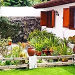 Cozy House Casa Vero Mai Icod De Vinos 別荘