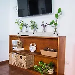 Cozy House Casa Vero Mai Icod De Vinos 別荘