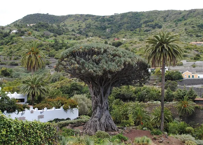 Nyaraló Cozy House Casa Vero Mai Icod De Vinos