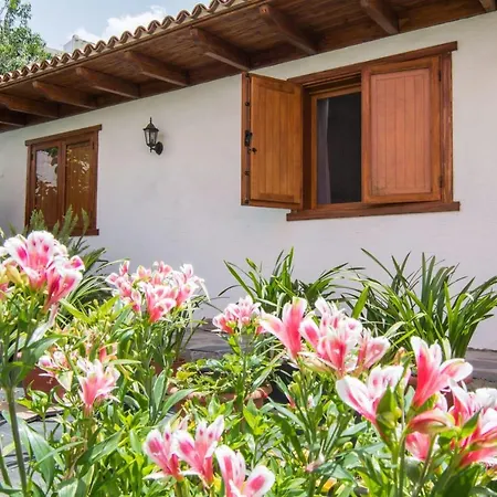 Cozy House Casa Vero Mai Icod De Vinos 度假居 *