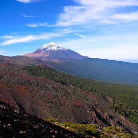 Cozy House Casa Vero Mai Icod De Vinos 度假居 伊科德·德·洛斯·维诺斯