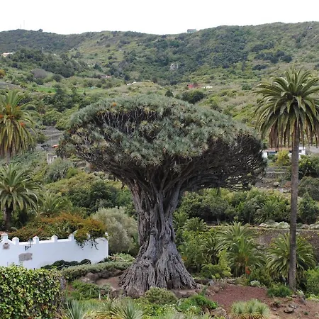 Dom wakacyjny Cozy House Casa Vero Mai Icod De Vinos