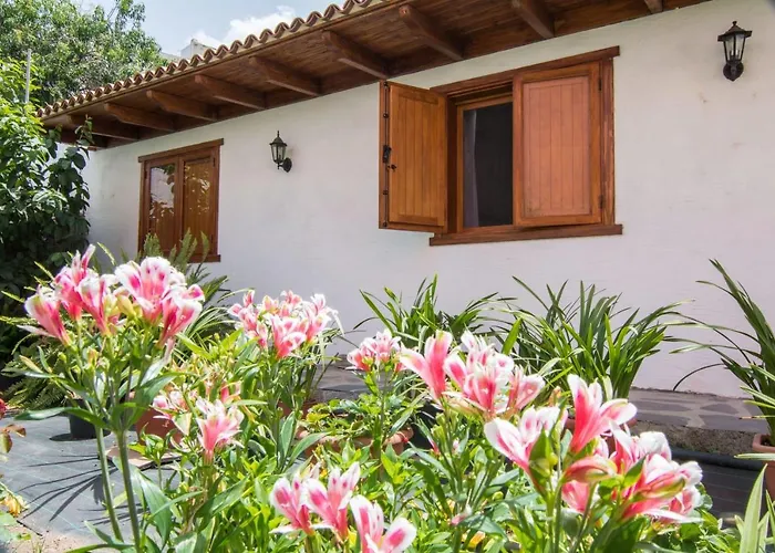 Cozy House Casa Vero Mai Icod De Vinos 度假居 *