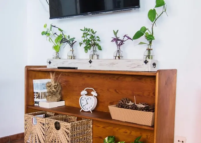 Cozy House Casa Vero Mai Icod De Vinos 度假居