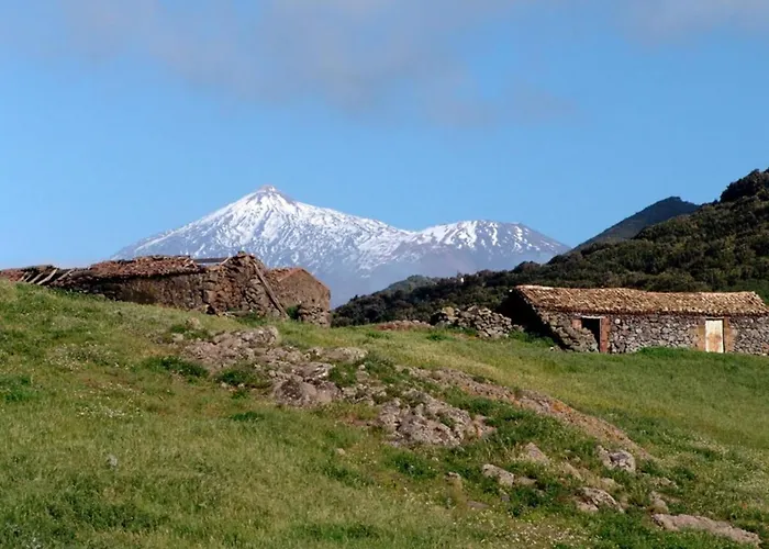 Σπίτι διακοπών Cozy House Casa Vero Mai Icod De Vinos *