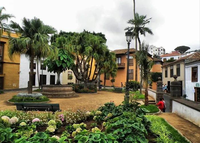 度假居 Cozy House Casa Vero Mai Icod De Vinos 伊科德·德·洛斯·维诺斯