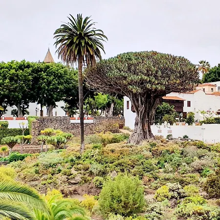 Дом отдыха Cozy House Casa Vero Mai Icod De Vinos *